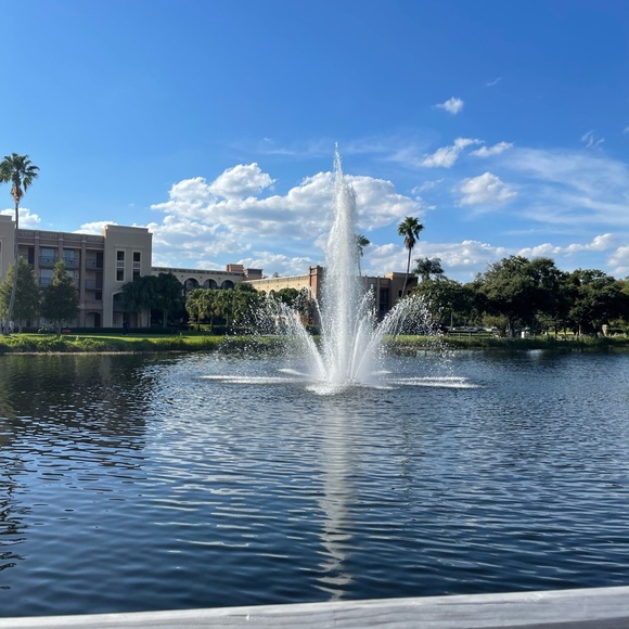 Crown and Ivy size 10 Caroline shorts - Picture 2 of 6